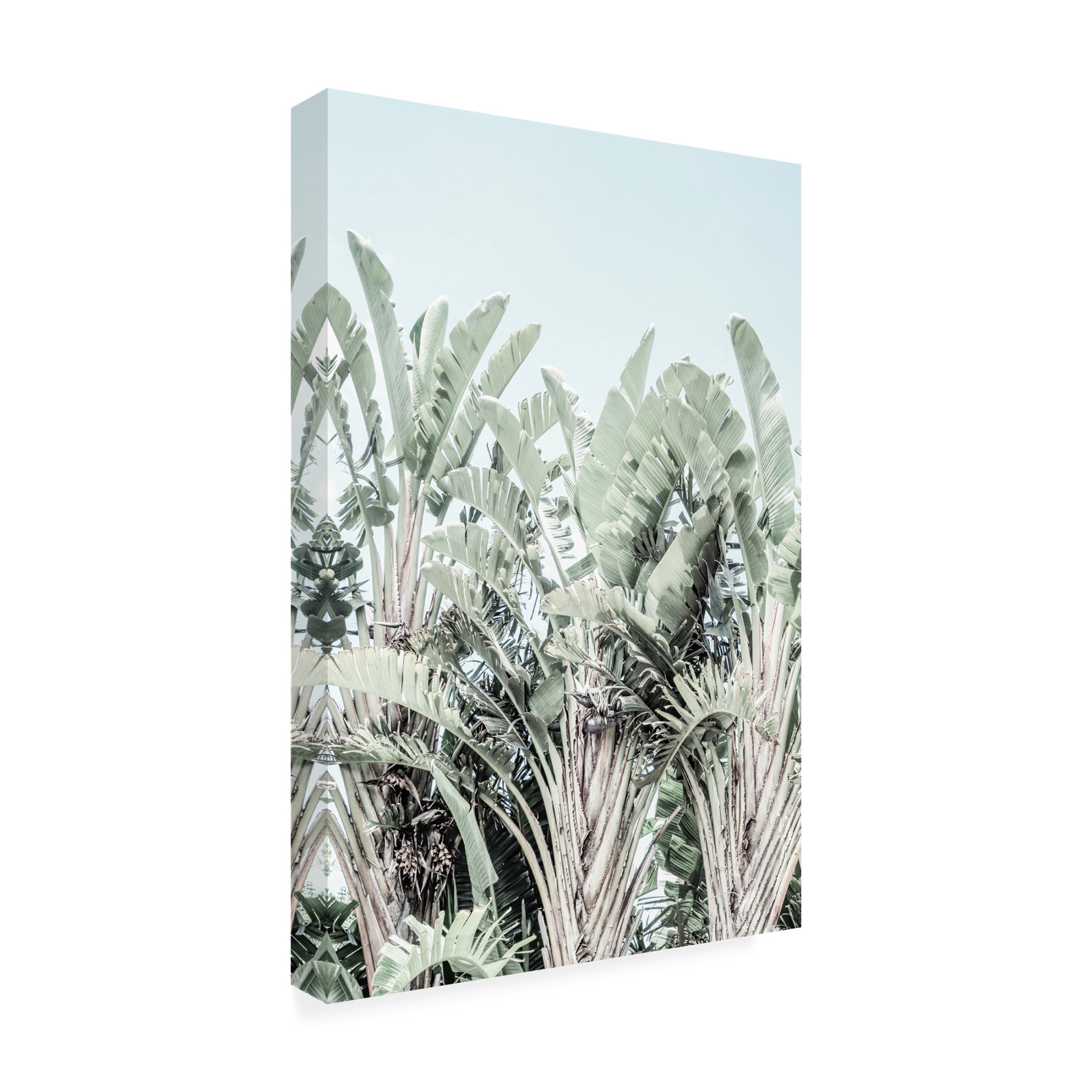 Trademark Fine Art Shot by Clint Tropicana Canvas Wall Art