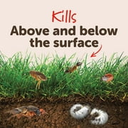GT Sevin Garden Perimeter Insect Killer Granules 3lb
