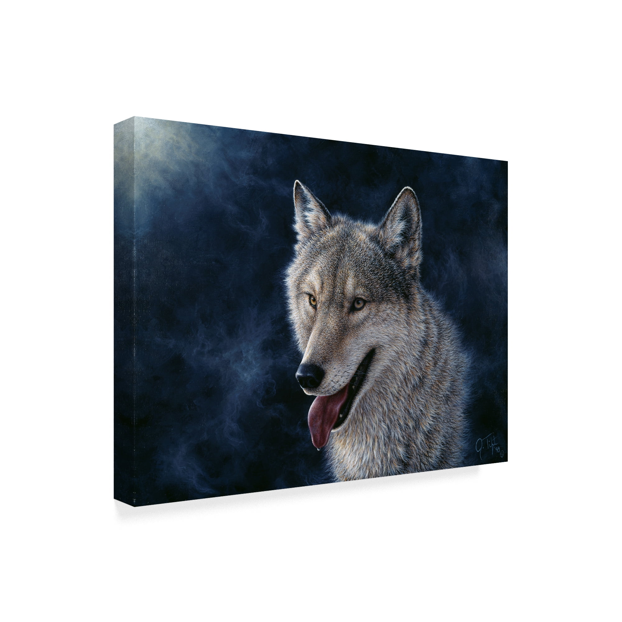 Trademark Fine Art 'Wolf' Canvas Art by Jeff Tift