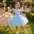 thumbnail image 7 of IBTOM CASTLE Toddler Little Flower Girls Princess Tulle Dress Sleeveless Floral Embroidery Tutu 3D Butterfly Back Bowknot For Wedding Birthday Party Evening Formal Blue, 7 of 7