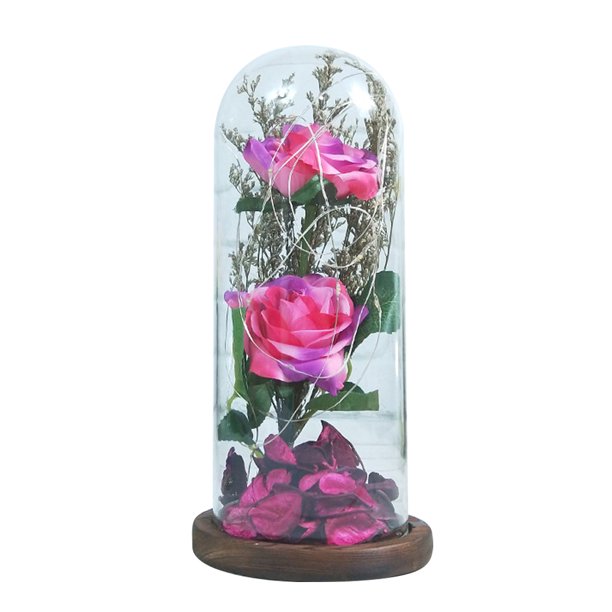 Regalo navideño para mujeres: rosas brillantes con cúpula de cristal