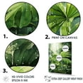 thumbnail image 3 of Designart "Palms Awaken In Mossy Morning Light I" Palms & Palm Trees Floater Framed Wall Art Living Room, 3 of 5