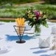 thumbnail image 4 of WEUVEB Soporte Compacto Negro Para Papas Fritas Y Aperitivos Con Estructura Metálica Duradera, 4 of 8