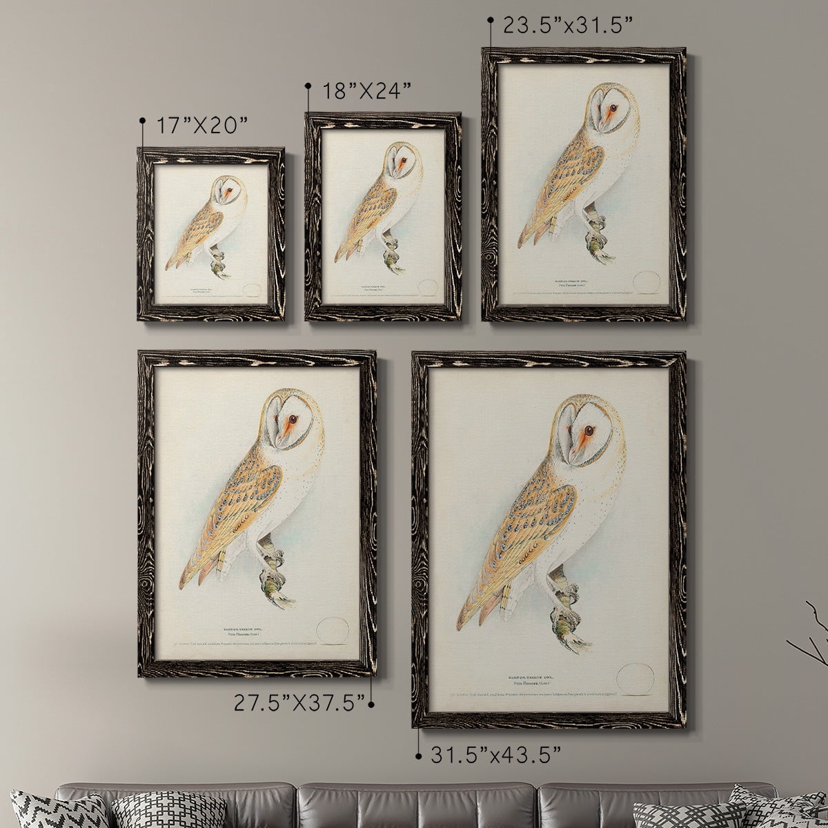Barn Owl - Premium Framed Canvas 2 Piece Set - Ready to Hang