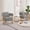 Teddy Grey, variant on Modern Barrel Accent Chairs Set of 2, Living Room Side Chairs with Golden Metal Legs Velvet Upholstered Reading Armchairs no Wheels for Vanity/Reception Room//Bedroom/Lounge/Office, Purple