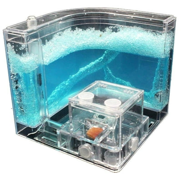 3D Ant Farm Gel Maze Nest Ant Novelty System Ant Habitat Educational ...