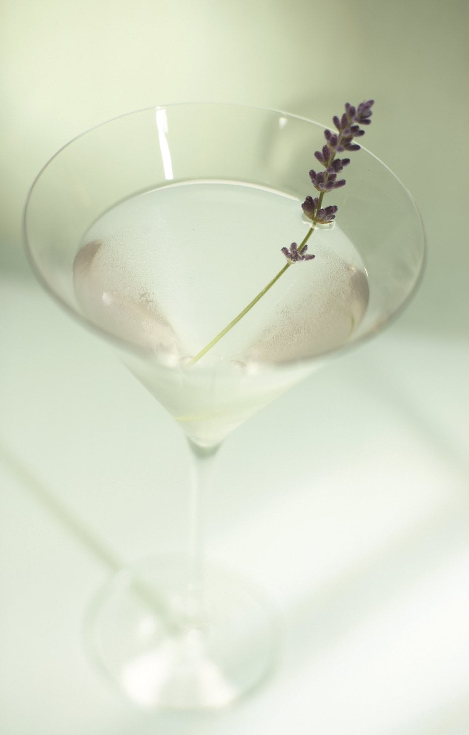 Torani Lavender Syrup