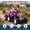 Rose Red, variant on TEREDNAT 12V Kids Ride-On Tractor with Trailer, Dual 35W Motors, Parent Remote, Wireless Music, 2.8 MPH, Ages 3+, Red
