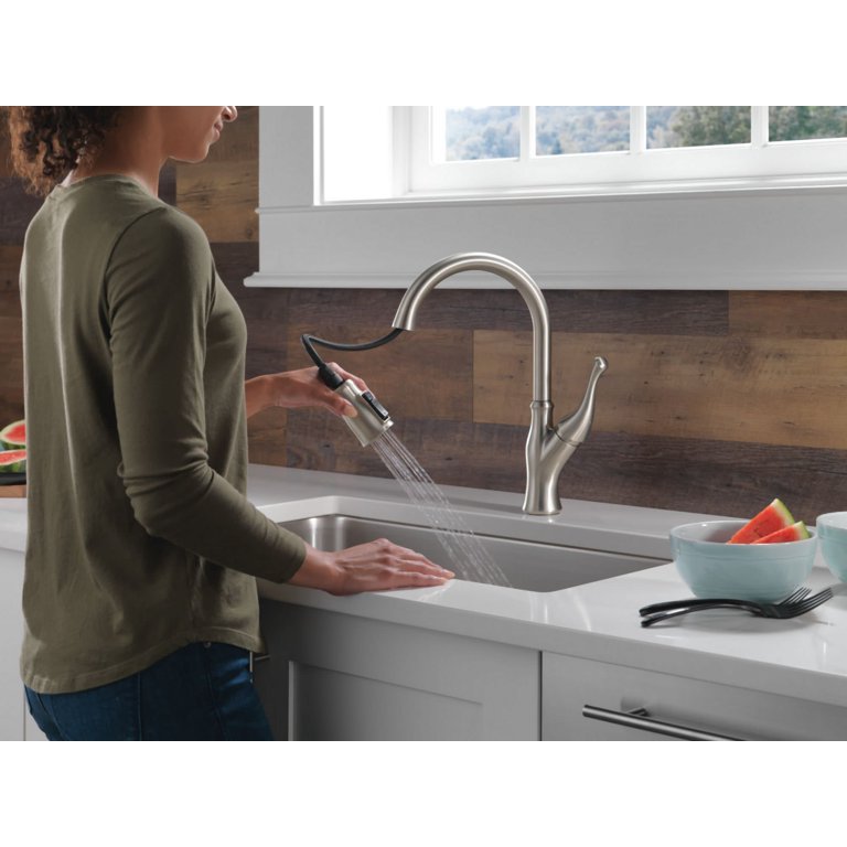 8535, Kitchen faucet with dishwasher valve