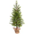 thumbnail image 1 of Vickerman 4' Pin Blanc Artificiel Arbre de Noël Non Allumé, 1 of 1