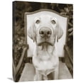 thumbnail image 1 of Global Gallery's 'Sitting' By Jim Dratfield Stretched Canvas Wall Art, 1 of 4