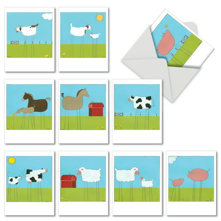 M6656OCB STICK LEGS' 10 Assorted All Occasions Notecards with Envelopes by The Best Card