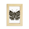 thumbnail image 1 of with Dark Wing Dark Colour Desktop Display Photo Frame Picture Art Painting 5x7 inch, 1 of 3