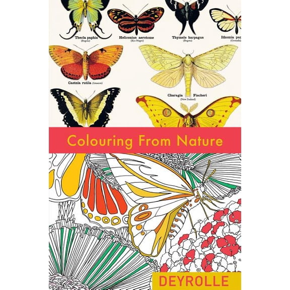 Colouring from Nature (Paperback)