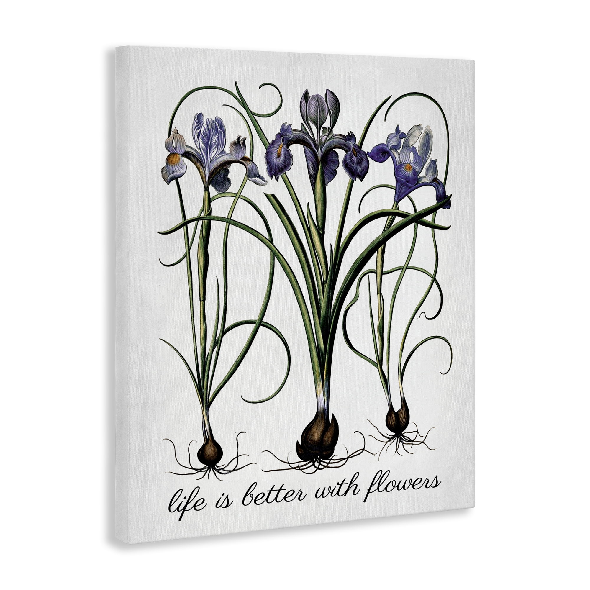 Stupell Industries Better With Flowers Botanical & Floral Painting Gallery Wrapped Canvas Art Print Wall Art, 16 x 20
