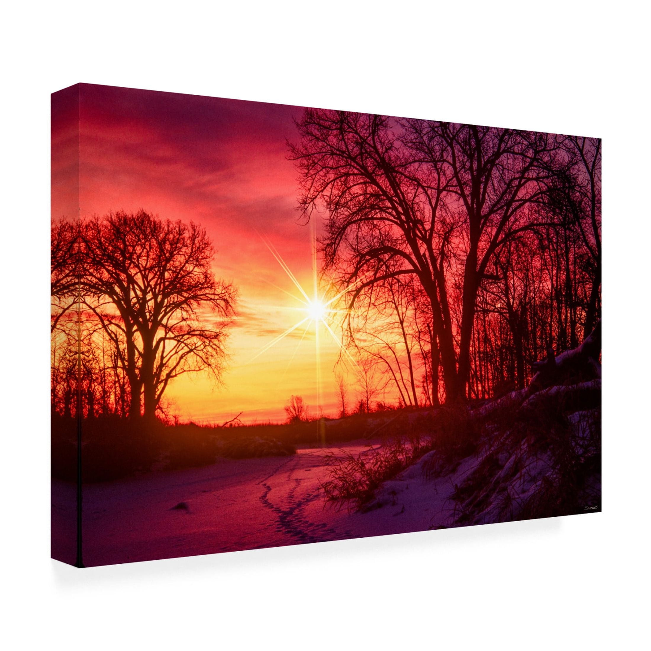 Canvas Wall Art - Gordon Semmens 'Buffalo River State Park 1' Wall Art for Living Room, Bedroom, or Office Décor by Trademark Fine Art - 19 x 12 Inches