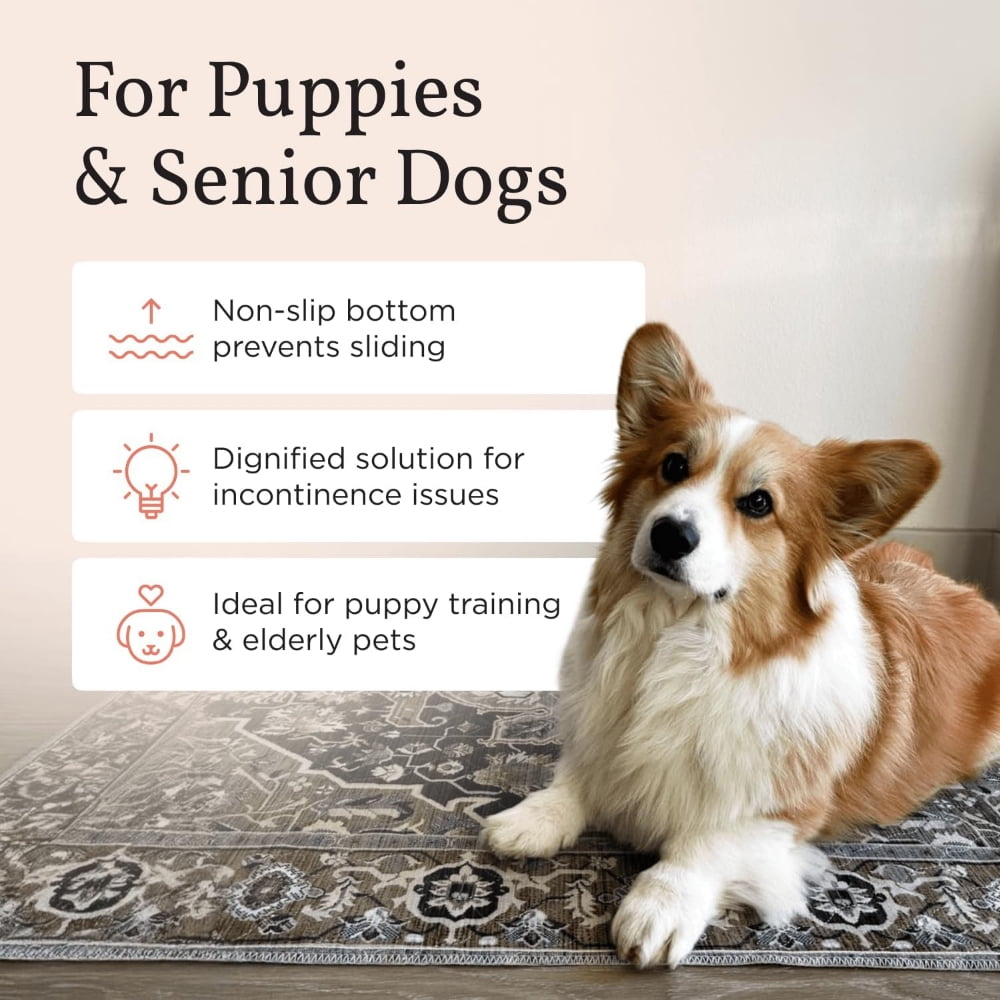 MK Gdledy Washable Dog Pee Pads, Waterproof, Non-Slip, Super Absorbent, Reusable Machine-Washable, 2-Pack