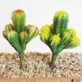 thumbnail image 3 of Jardines artificiales para oficina y hogar, plantas artesanales, paisajismo para 14 1 pieza 14.5 x 7cm, 3 of 9