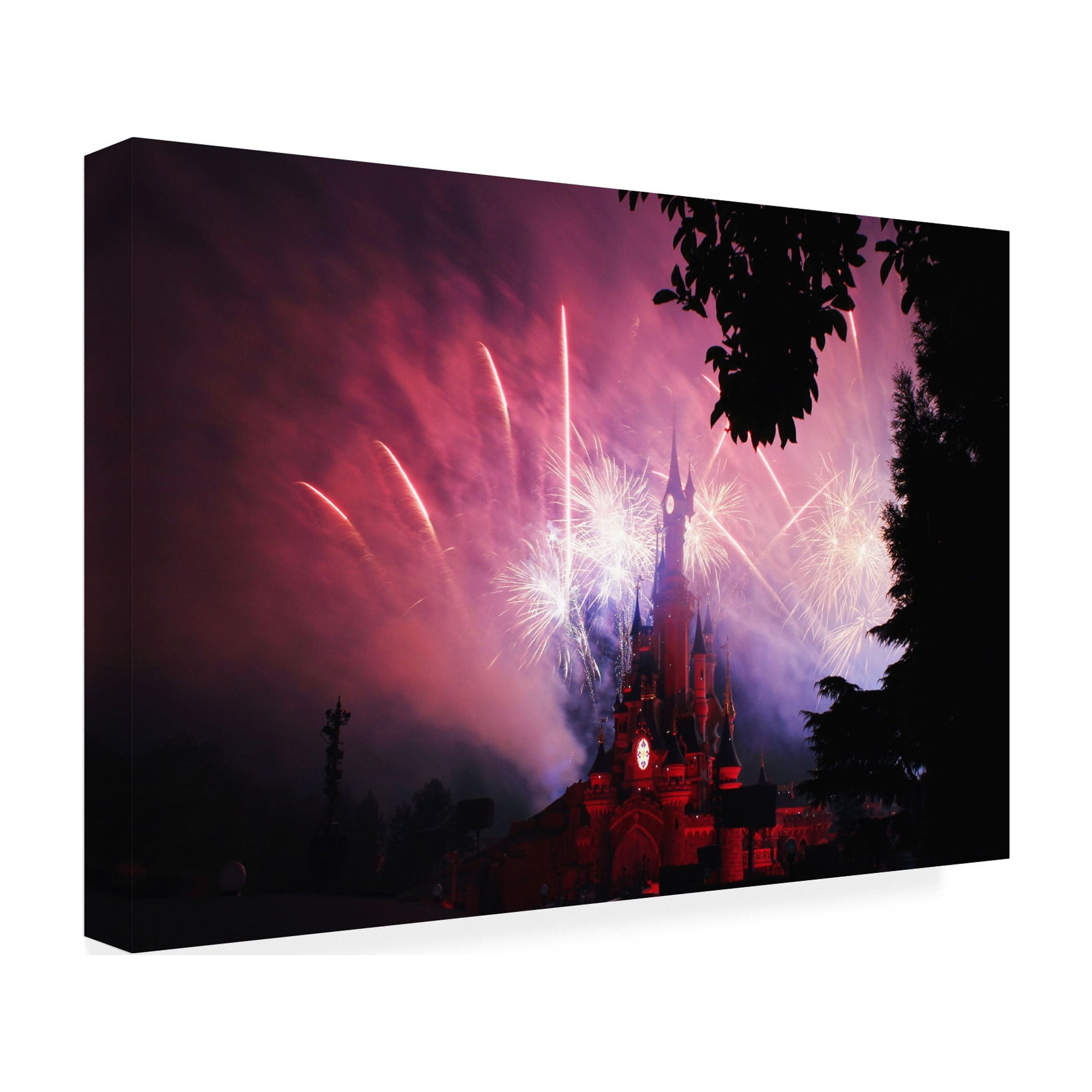 Anders Krogh 'Disney is a magical place' Canvas Art