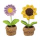 thumbnail image 1 of equipos de ganchillo,Juego de manualidades Flor Crochet Kit Principiante Diy Crochet,Kits de juguetes Juguete de tejer a mano Ganchillo,Kit de ganchillo para principiantes Juguete tejido a, 1 of 8