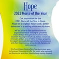 thumbnail image 6 of Breyer Horses - Freedom Series 1:12 Scale 2021 Horse of the Year, Hope Action Figure (6"), 6 of 6