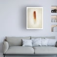 thumbnail image 3 of Debra Van Swearingen 'Feather II' Canvas Art, 3 of 3