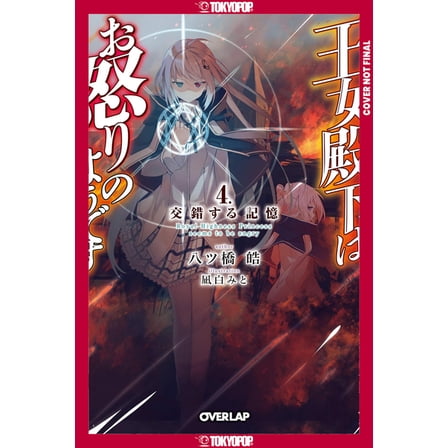 Her Royal Highness Seems to Be Angry, Volume 4 (Light Novel), (Paperback)