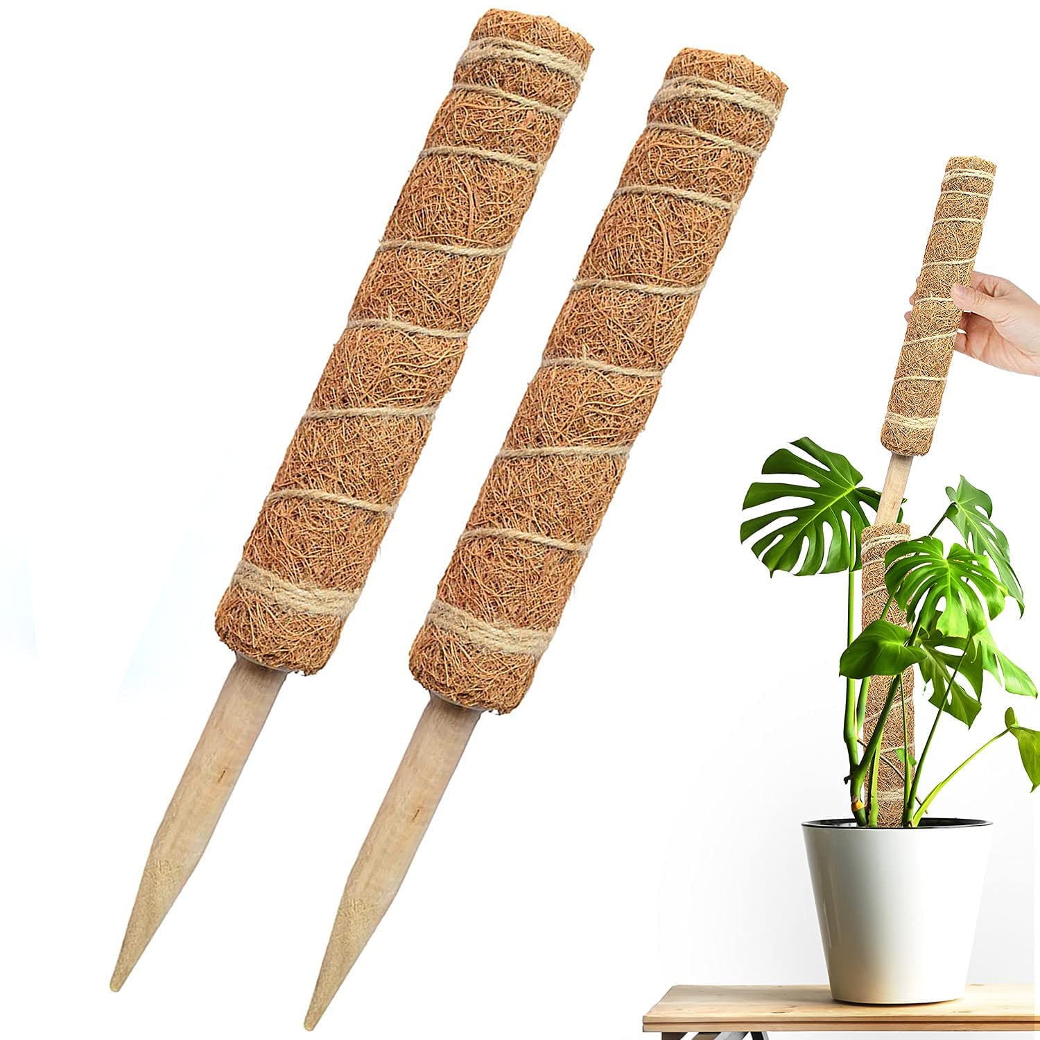 with 50 Reusable Ties 2 Coco Coconut Fibre Plant Poles Extend to 26.4 inches Suitable for Indoor Plant Support Train Indoor Plants to Grow Upwards. Moss Pole 