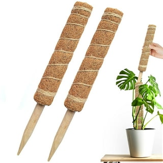 Visland Moss Pole for Plants Monstera, Stackable Monstera Plant Support  Extension-Support Indoor Potted Plants to Grow, for Pothos,Climbing Plants  