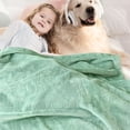 thumbnail image 2 of BORITAR Baby Blanket for Boys Girls Ultra Soft Fleece Warm and Lightweight Animal Blankets for Infant Toddler Newborn, 30x40 Inch, Sage Green, 2 of 7