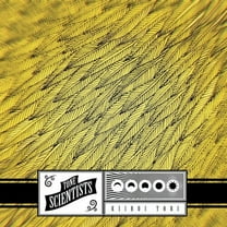 Tone Scientists - Kiiroi Tori - Music & Performance - Vinyl