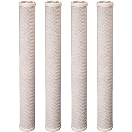 

CFS – 4 Pack Carbon Block Water Filters Cartridge Compatible with CB-25-2010 Models – Remove Bad Taste & Odor – Whole House Replacement Water Filter Cartridge 5 micron - 20 x 2.5 White
