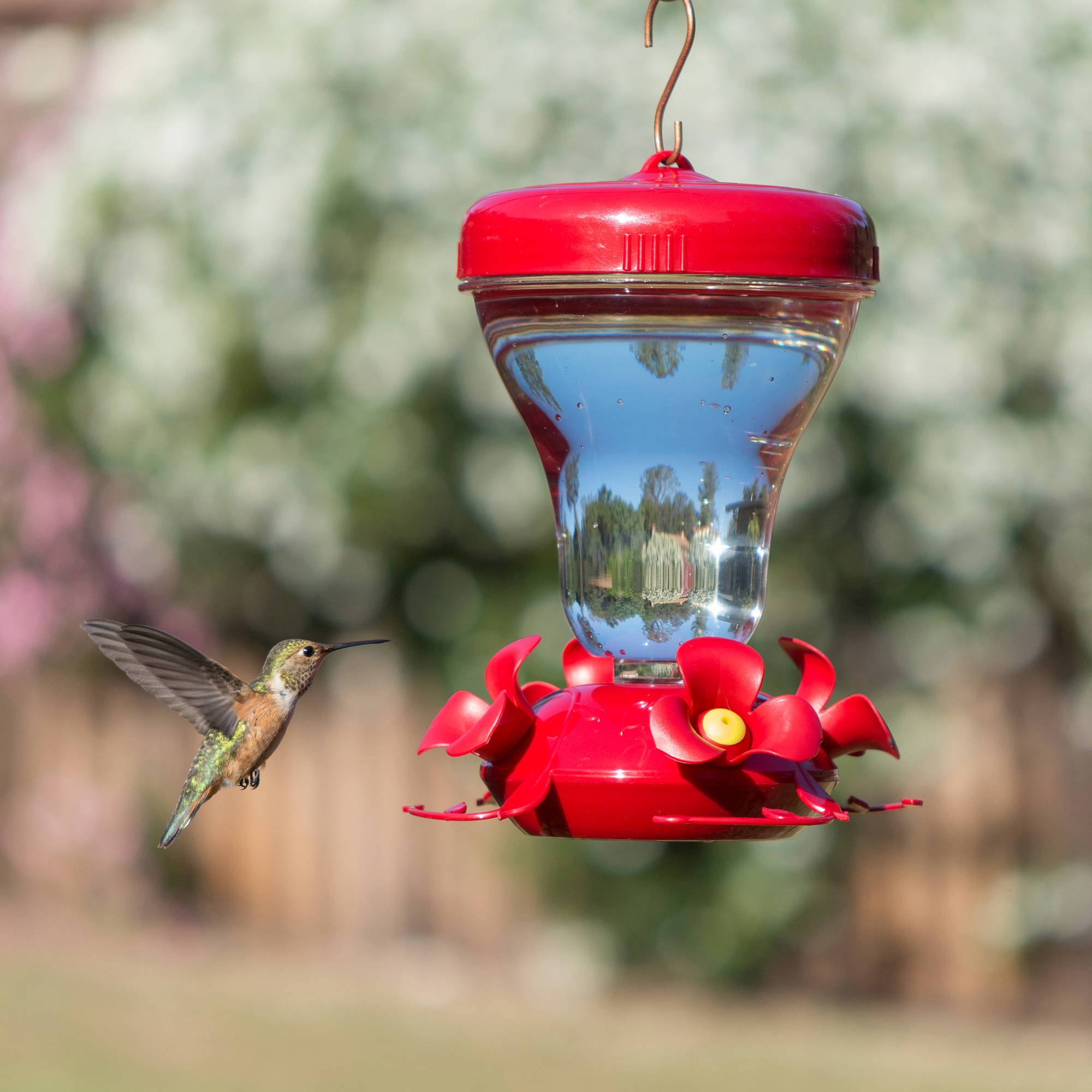 Perky Pet Top Fill Push Pull 16 Ounce Magnolia Plastic Hummingbird