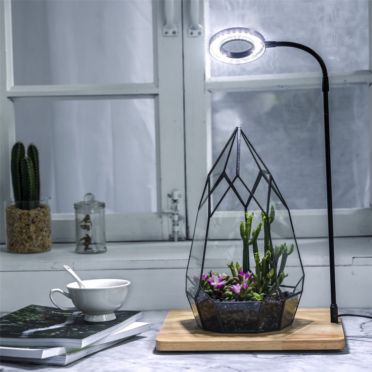 NCYP Grow Lamp with Wooden Base for Plant Terrariums for Succulents, Moss, Ferns, Indoor Plant Display Decorative Board with Adjustable Gooseneck, 40CM 15.74 inches Staright Height