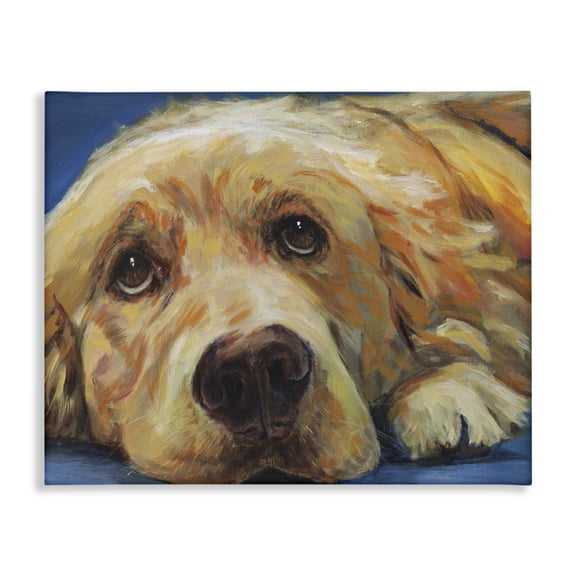 Stupell Industries Eclectic Golden Retriever Begging Eyes Expressive Dog Portrait Canvas Art, 20 x 16, by Kamdon Kreations