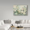 thumbnail image 3 of Trademark Fine Art 'Annabelle Hydrangeas' Canvas Art by Julia Purinton, 3 of 3