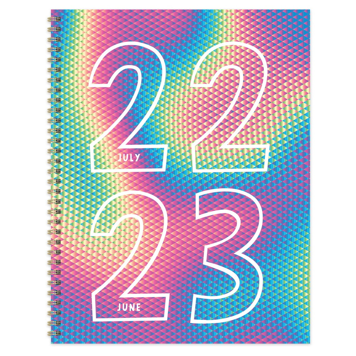 TF Publishing July 2022 - June 2023 Fabulous Year Large Daily/Weekly/Monthly Planner