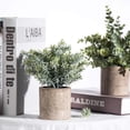 thumbnail image 3 of Ukipos Set de 3 Plantas Artificiales de Eucalipto Decorativas, Plantas Artificiales en Maceta para Oficina, Ba&ntilde;o, Hogar, Decoraci&oacute;n de Mesa para Interiores, Macetas para Interior, 3 of 8