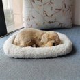 thumbnail image 4 of Realistic Sleeping Plush Breathing Cat Furry Dog With Mat Creative Animals Decor, 4 of 5