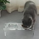 thumbnail image 4 of Juego de cuencos elevados para perros y gatos Feoyoho de acrílico con 2 cuencos de acero inoxidable, 4 of 36