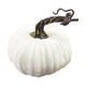 thumbnail image 2 of Calabazas de terciopelo de 7,9 pulgadas | Adornos otoñales de peluche supersuaves para Halloween y Acción de Gracias | Centro de mesa para el hogar, 2 of 2