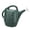 Green, variant on Union Products 63066 2 Gallon Garden Plastic Watering Can, Caribbean Blue