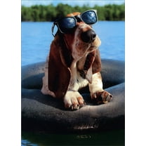 Avanti Press Basset Hound on Inner Tube Wearing Sunglasses Funny / Humorous Father's Day Card