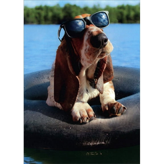Avanti Press Basset Hound on Inner Tube Wearing Sunglasses Funny / Humorous Father's Day Card