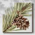 thumbnail image 2 of Simple Pine Cone I- Gallery Wrapped Canvas, 2 of 9