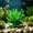 Green, variant on Artificial Coral Reef Ornament for Aquarium Realistic Fish Tank Decoration Realistic marine Ornaments Cute Hideout Cave for Small Fish and Shrimp Green 5.91X4.71in
