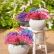 thumbnail image 4 of Flores artificiales Usmilegift, 10 paquetes, resistentes a los rayos UV (rosa roja), 4 of 6