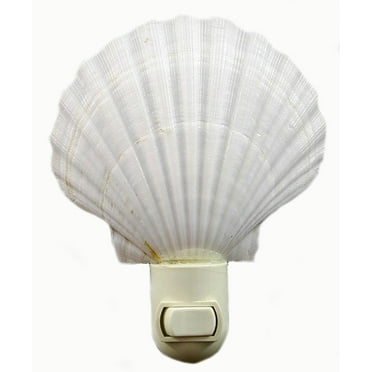 Real Seashell Night Light White Scallop  Shell Decorative Beach Cottage Nautical Decor 5" Tall