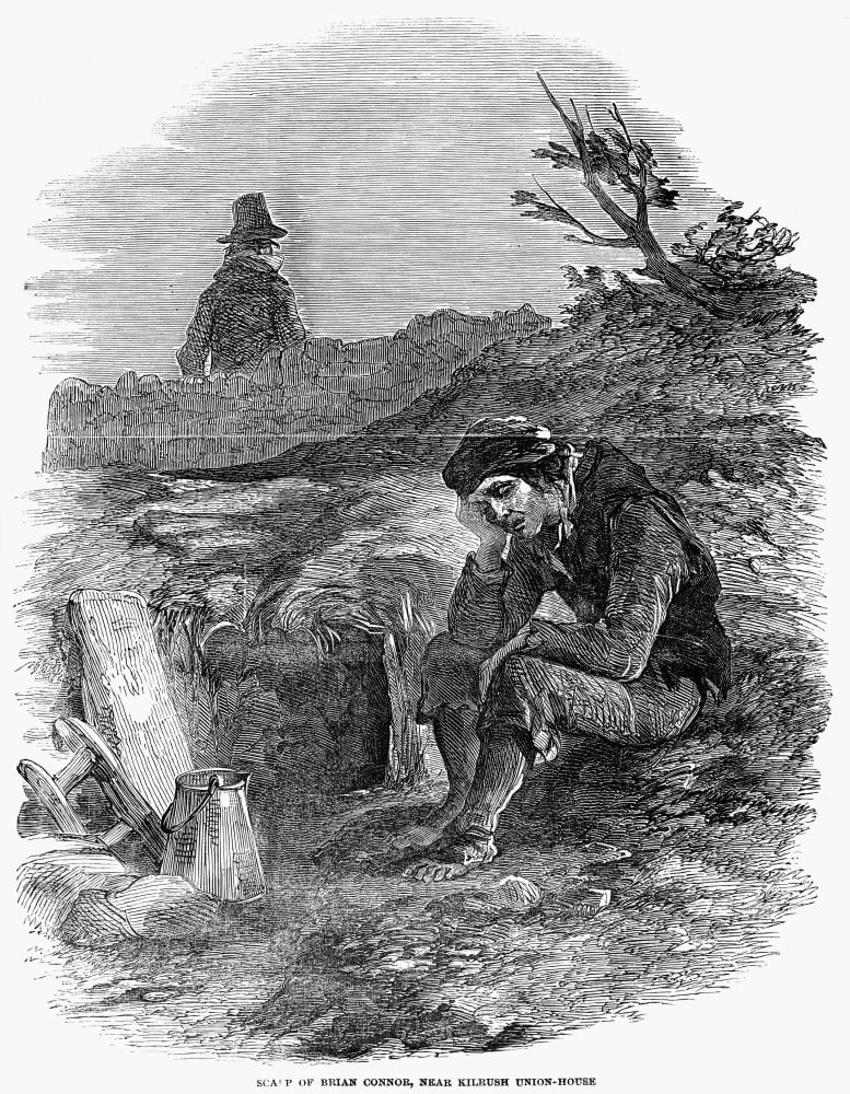 Irish Potato Famine 18467 NScarp Of Brian Connor Near Kilrush Union