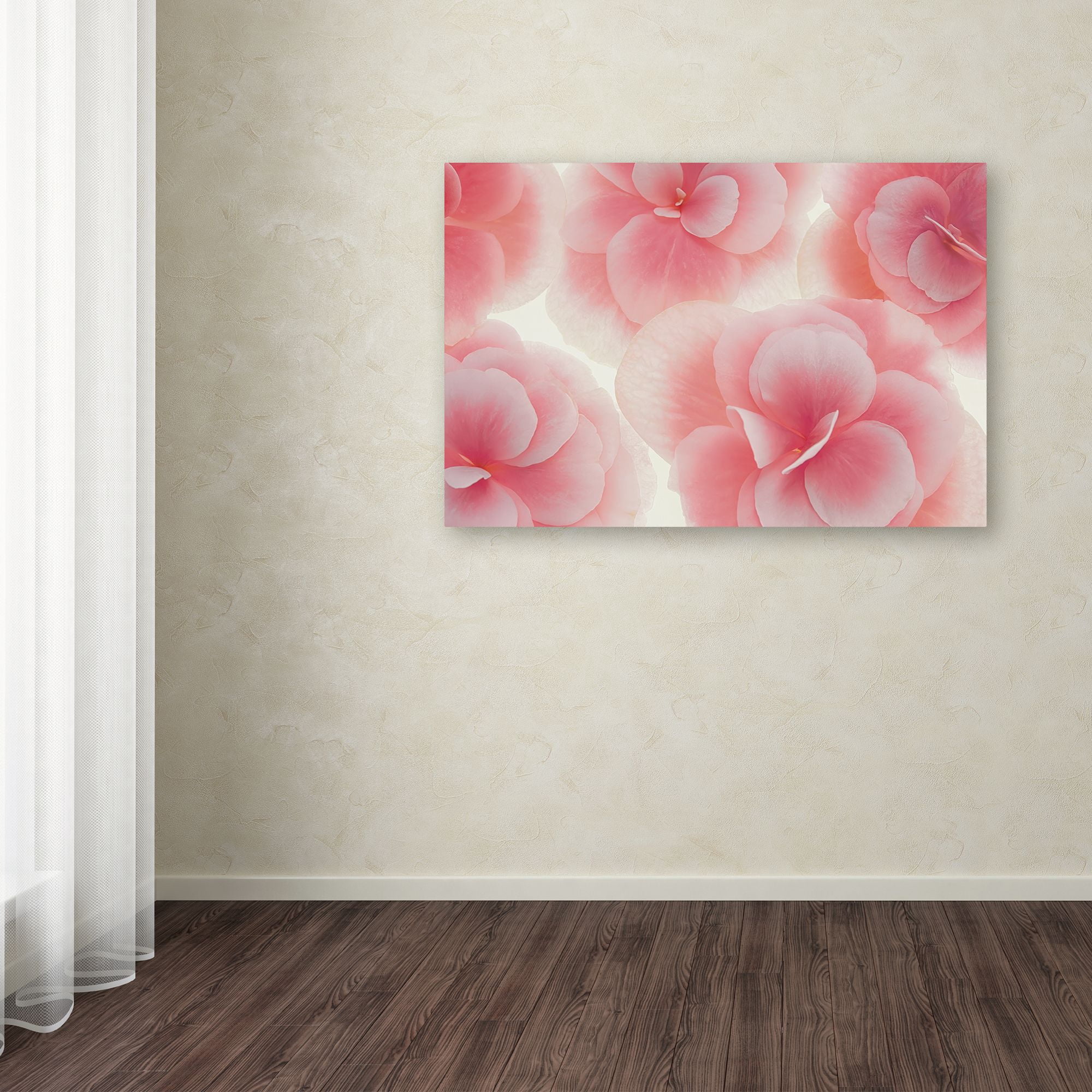 Trademark Fine Art 'Rose Begonia Flowers' Canvas Art by Cora Niele